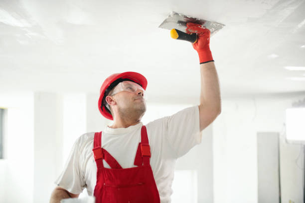 Best Mold Remediation for Healthcare Facilities  in Plains, MT